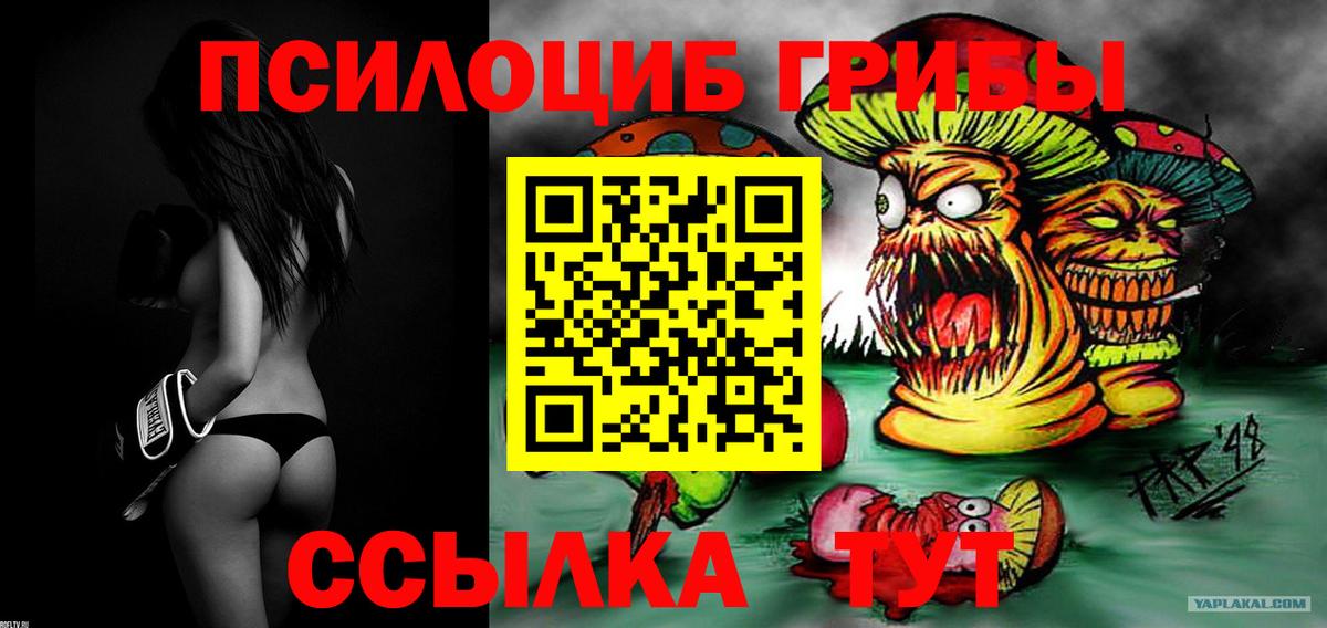Псилоцибиновые грибы Psilocybine cubensis Верхняя Салда