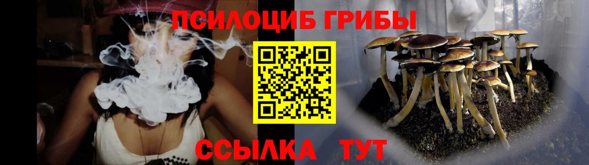 Верхняя Салда  Псилоцибиновые грибы мицелий  Вход с VPN 